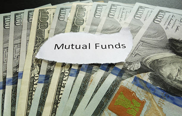 large-cap mutual fund